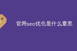 官网seo优化是什么意思