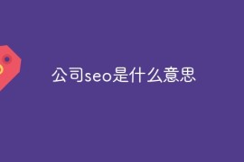 公司seo是什么意思