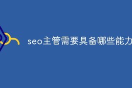 seo主管需要具备哪些能力