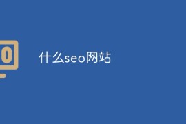 什么seo网站