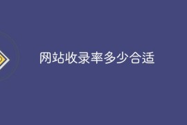 网站收录率多少合适