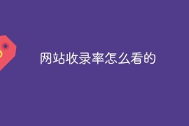 网站收录率怎么看的