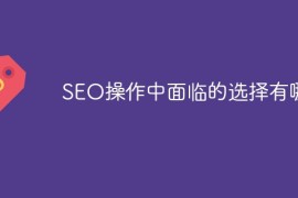 SEO操作中面临的选择有哪些