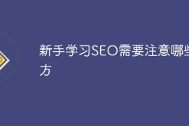 新手学习SEO需要注意什么地方