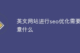 英文网站进行seo优化需要注意什么