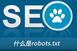 什么是robots.txt？