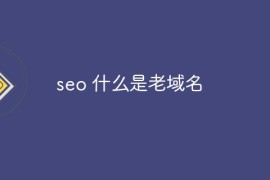 seo 什么是老域名