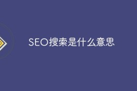 SEO搜索是什么意思