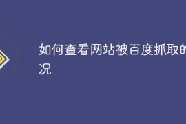 如何查看网站被百度抓取的情况