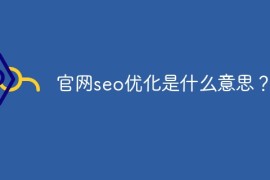 官网seo优化是什么意思？