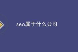 seo属于什么公司