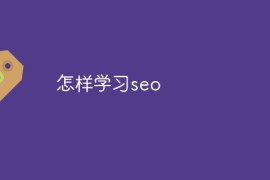 怎样学习seo